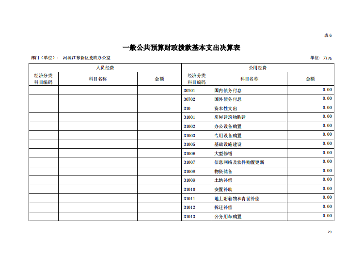 2020年河源江東新區(qū)黨政辦公室部門(mén)決算—29.png