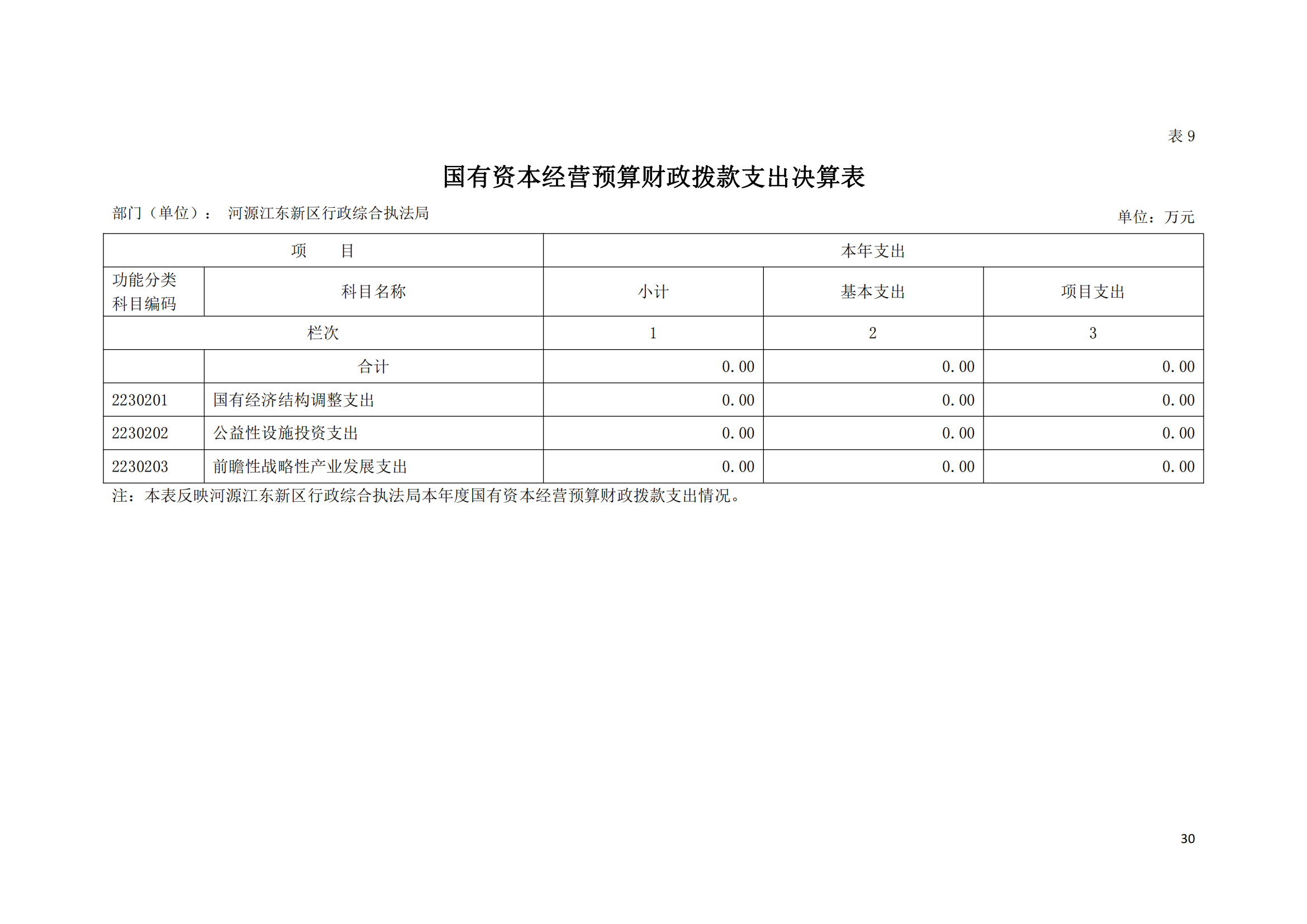 2020年河源江東新區(qū)行政綜合執(zhí)法局部門決算公開數(shù)據(jù)填報模板(1)_29.png